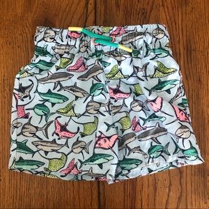 Cat & Jack Boys Swim Shorts/Trunks
